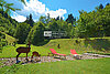 26 AUR1612 Garden web