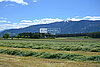 16 AUR1576 Neighbourhood web