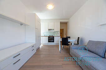 ASTER_IMMOBILIEN-19