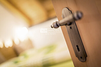 1 AUR1562 Example Door web