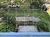 image00019