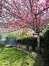 Garten 04