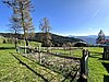 Gemüsegarten - orto