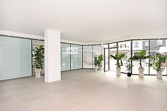 1 AUR11610 Store web