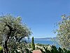 Garten mit Seeblick - giardino con vista lago