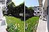 14 AUR1562 Garden web
