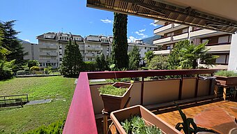 Vista