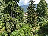 Aussicht | Vista