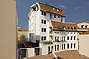 OBGb_241217_render2_piante