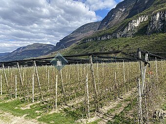 IMG_2256