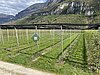 IMG_2253