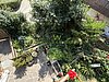 Garten | Giardino