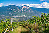 Unterland | Bassa Atesina 