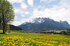 16 AUR1573 Toblach web