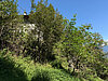 Maso chiuso "Wöhrer" in posizione panoramica - Foto 6
