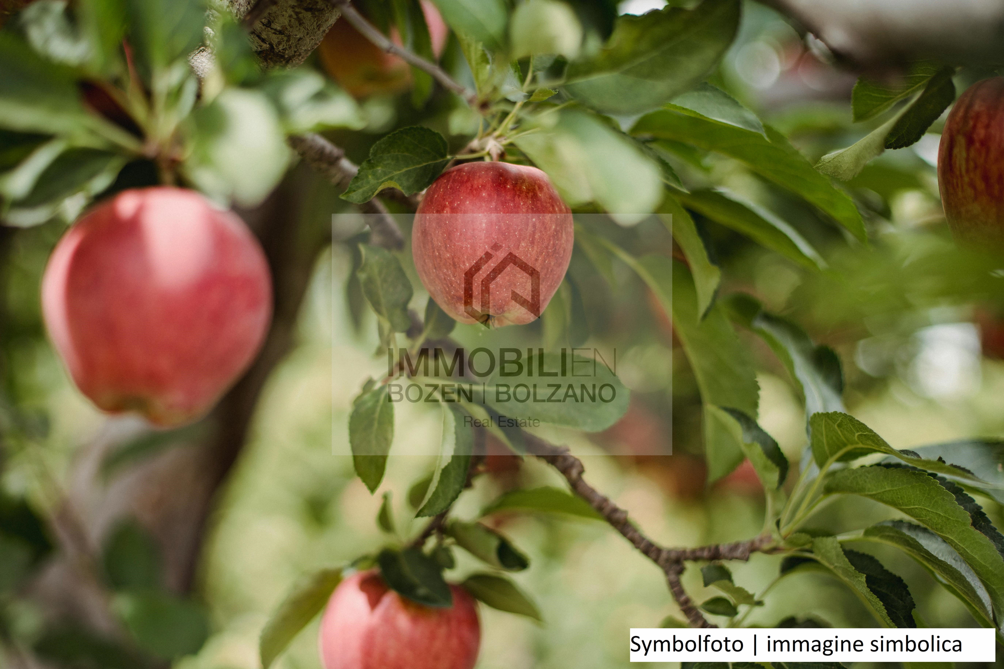 pexels-zen-chung-5529540