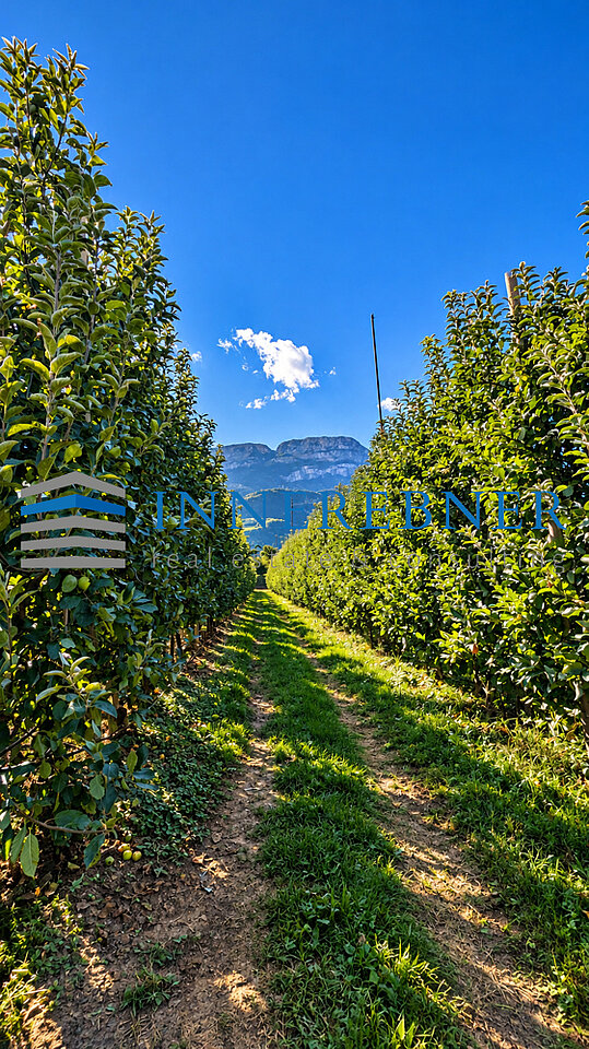 Apfelgartenweg mit Bergblick