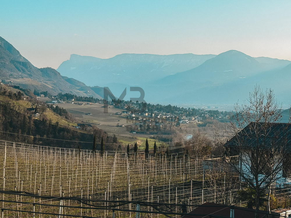 Blick in Richtung Süden - Meran - vista verso sud - Merano