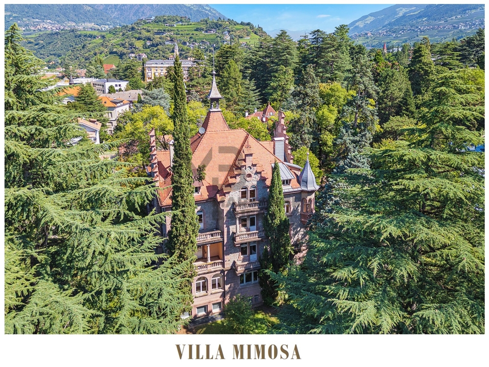 Villa Mimosa