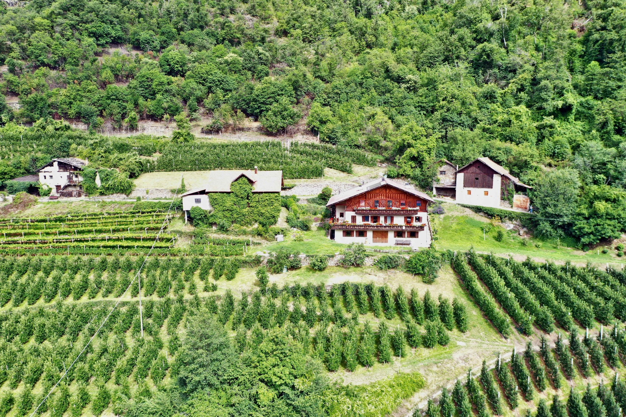 Hofstelle