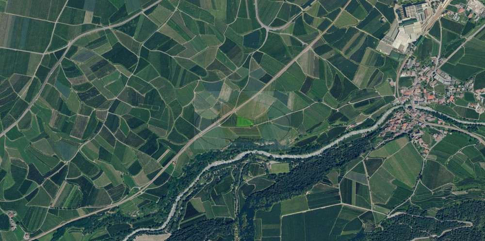 Luftaufnahme Kortsch Wiese