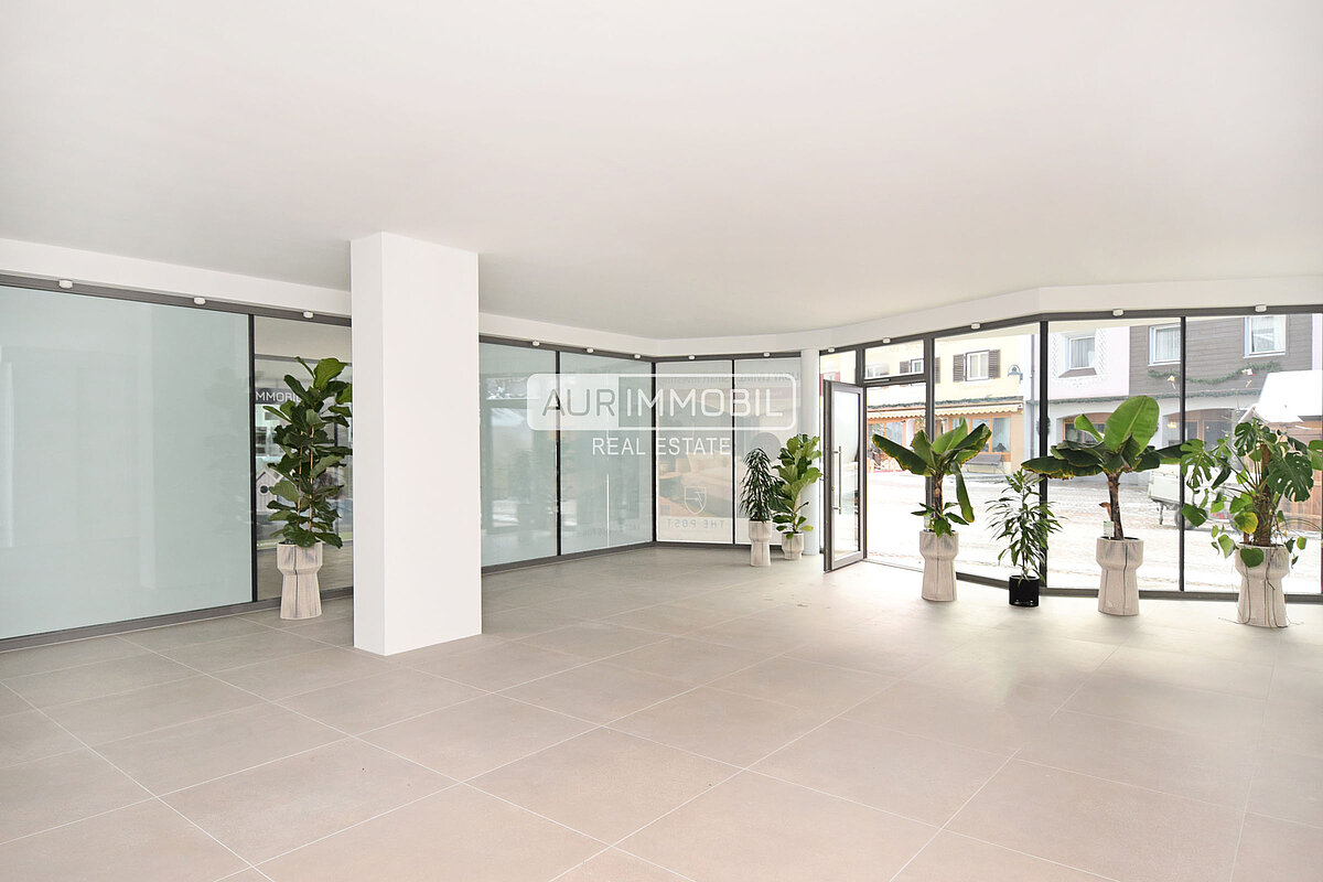 1 AUR11610 Store web