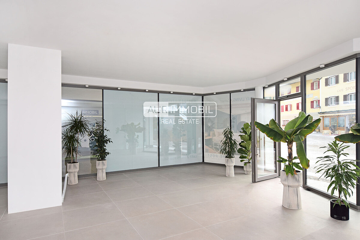 3 AUR11610 Store web