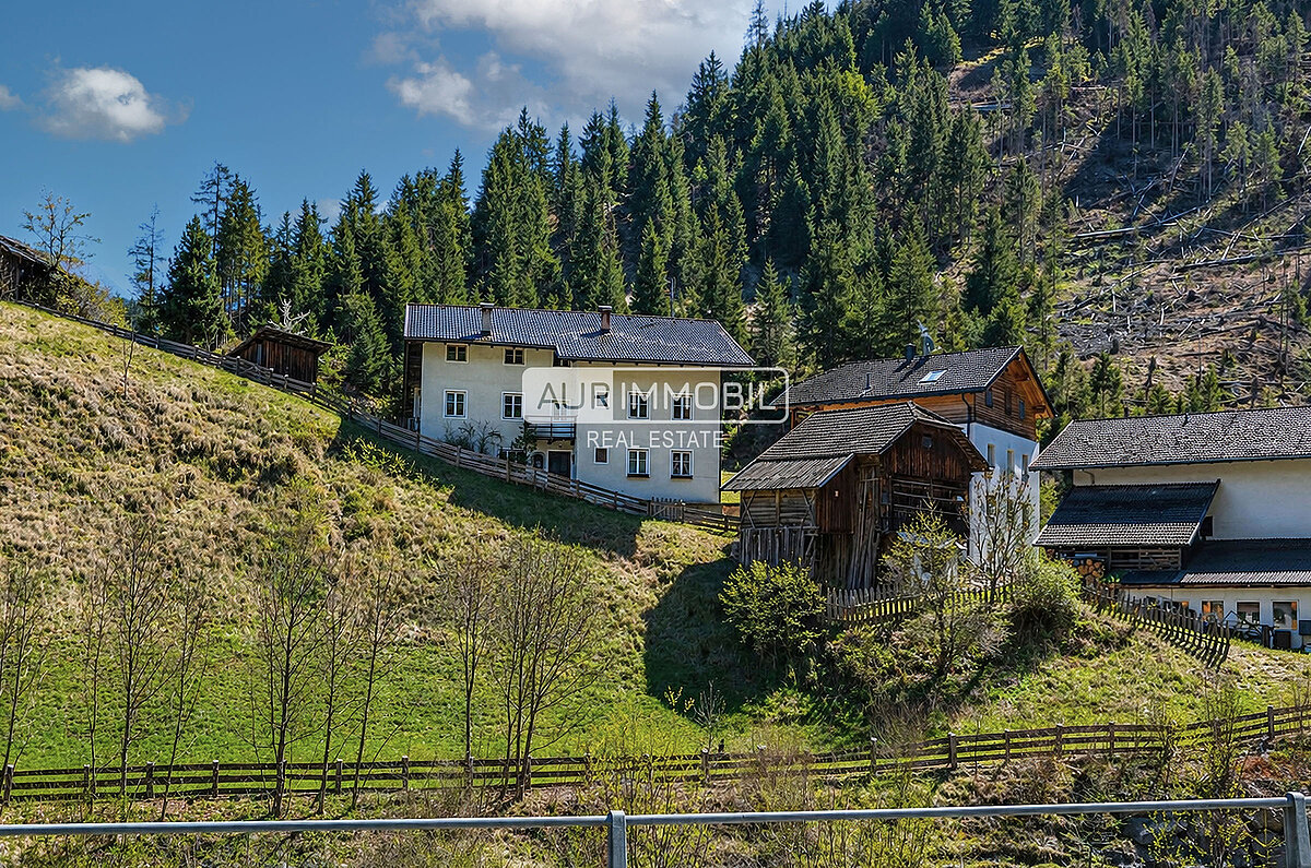 2 AUR1635 Lot View web